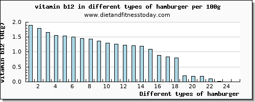 hamburger vitamin b12 per 100g